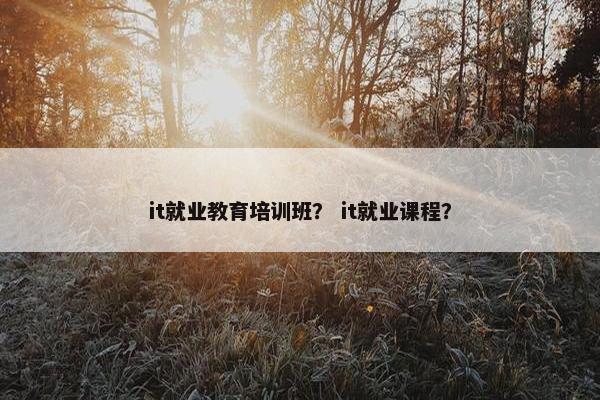 it就业教育培训班？ it就业课程？