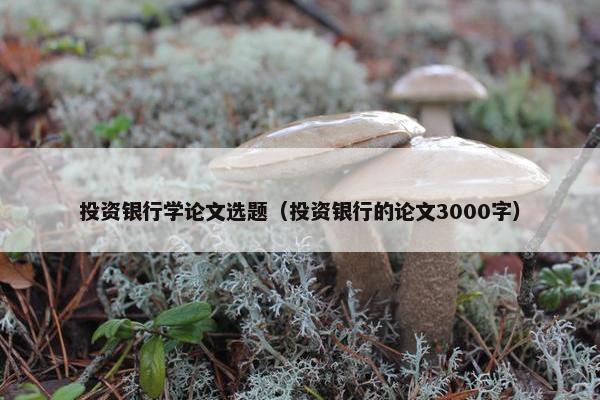 投资银行学论文选题（投资银行的论文3000字）