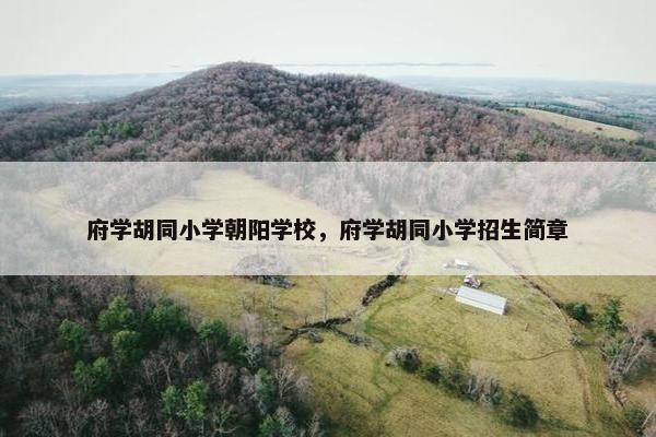 府学胡同小学朝阳学校，府学胡同小学招生简章