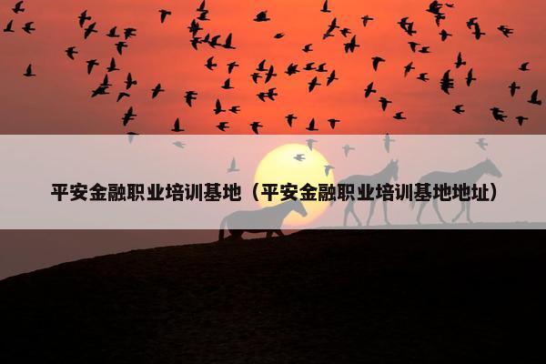 平安金融职业培训基地（平安金融职业培训基地地址）