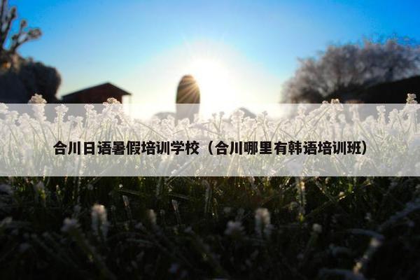 合川日语暑假培训学校（合川哪里有韩语培训班）
