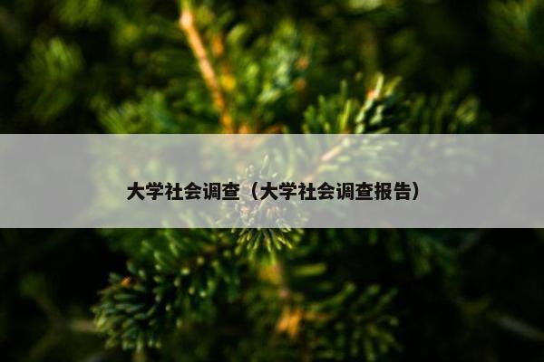 大学社会调查（大学社会调查报告）