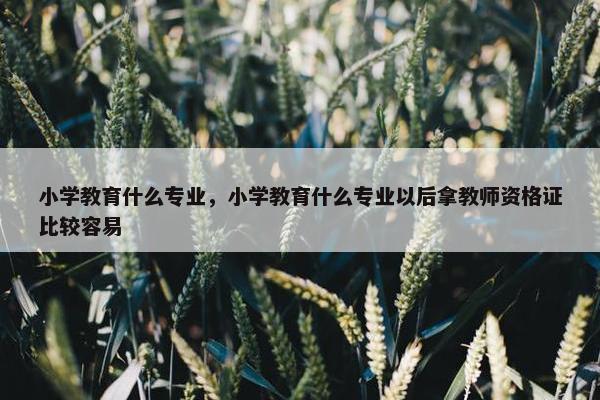 小学教育什么专业，小学教育什么专业以后拿教师资格证比较容易