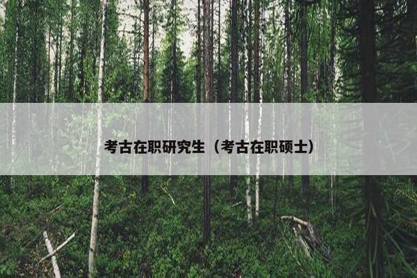 考古在职研究生（考古在职硕士）