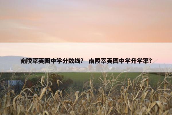 南陵萃英园中学分数线？ 南陵萃英园中学升学率？