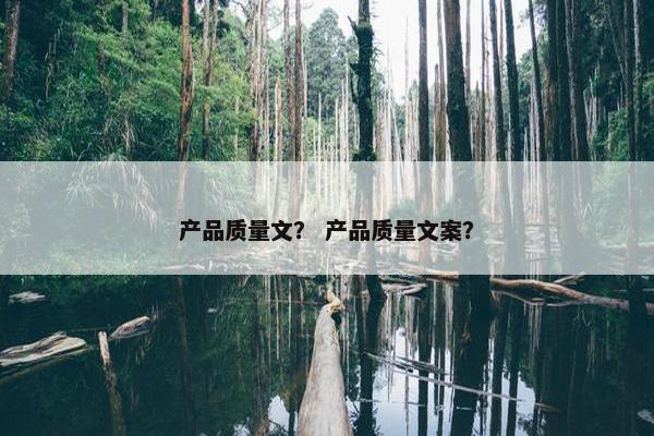 产品质量文？ 产品质量文案？