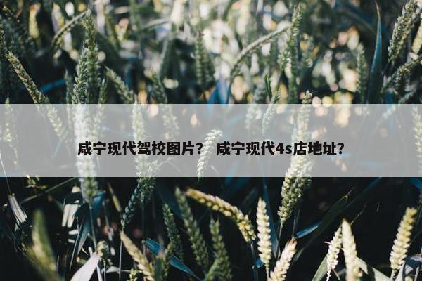咸宁现代驾校图片？ 咸宁现代4s店地址？
