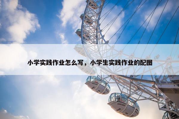 小学实践作业怎么写，小学生实践作业的配图