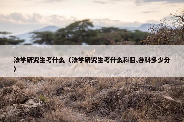 法学研究生考什么（法学研究生考什么科目,各科多少分）