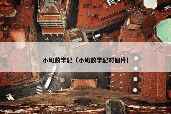 小班数学配（小班数学配对图片）