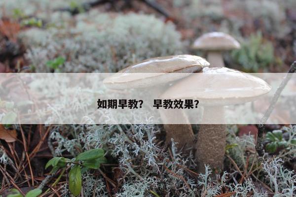 如期早教？ 早教效果？