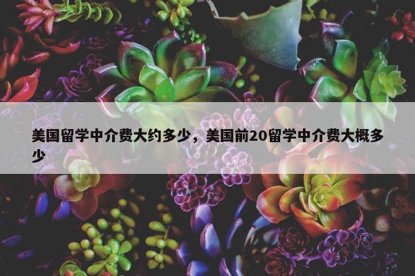 美国留学中介费大约多少，美国前20留学中介费大概多少