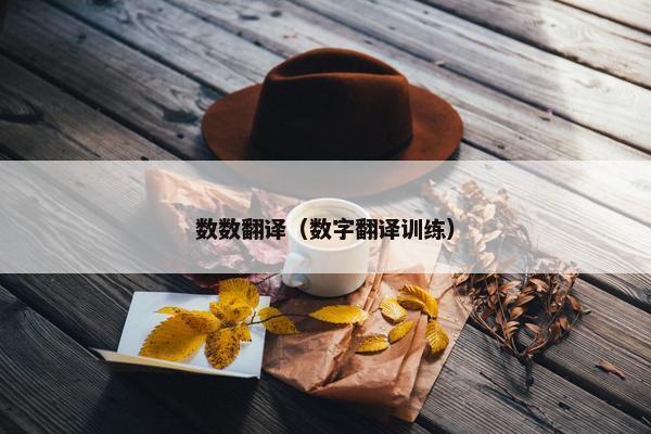 数数翻译（数字翻译训练）