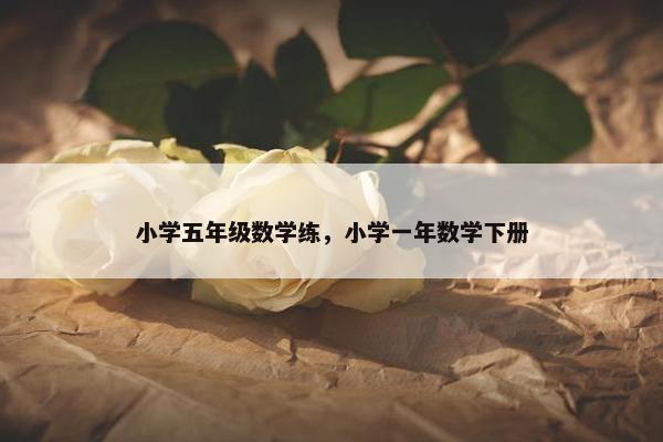小学五年级数学练，小学一年数学下册