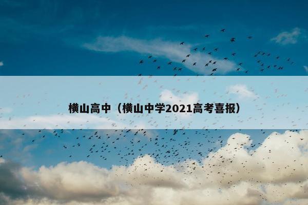 横山高中（横山中学2021高考喜报）