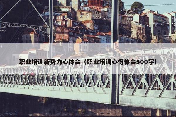职业培训新势力心体会（职业培训心得体会500字）