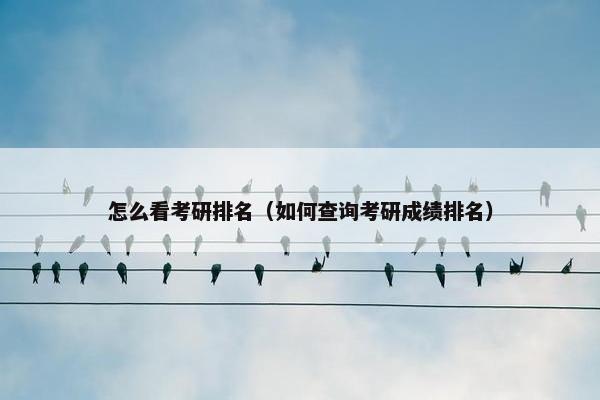 怎么看考研排名（如何查询考研成绩排名）