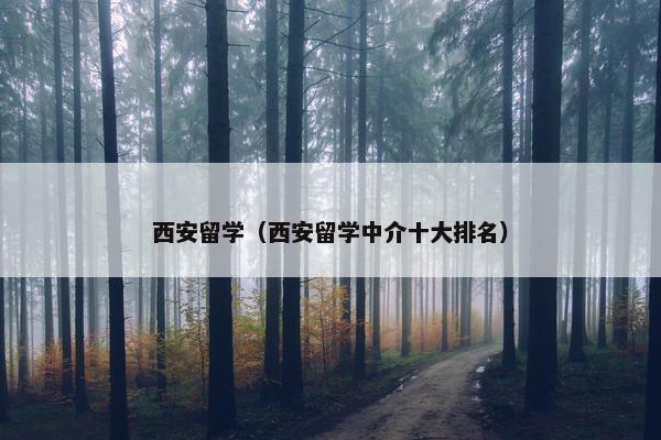 西安留学（西安留学中介十大排名）