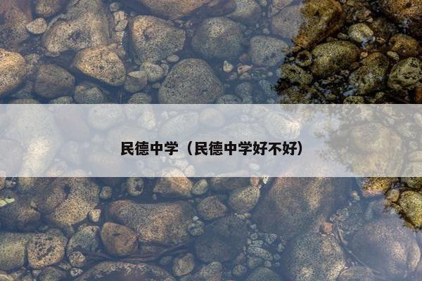 民德中学（民德中学好不好）