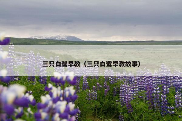 三只白鹭早教（三只白鹭早教故事）