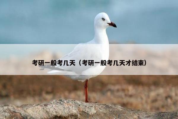 考研一般考几天（考研一般考几天才结束）