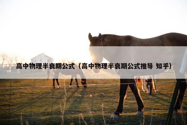 高中物理半衰期公式（高中物理半衰期公式推导 知乎）