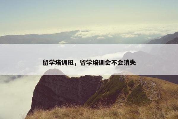 留学培训班，留学培训会不会消失