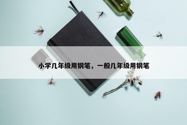 小学几年级用钢笔，一般几年级用钢笔