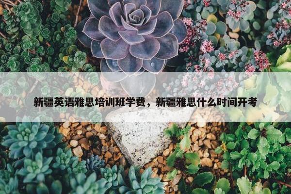 新疆英语雅思培训班学费，新疆雅思什么时间开考