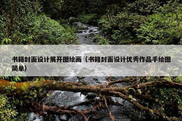 书籍封面设计展开图绘画（书籍封面设计优秀作品手绘图简单）