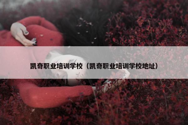 凯奇职业培训学校（凯奇职业培训学校地址）