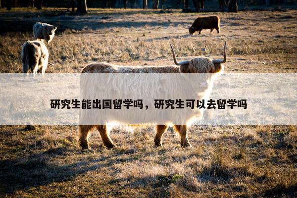 研究生能出国留学吗，研究生可以去留学吗