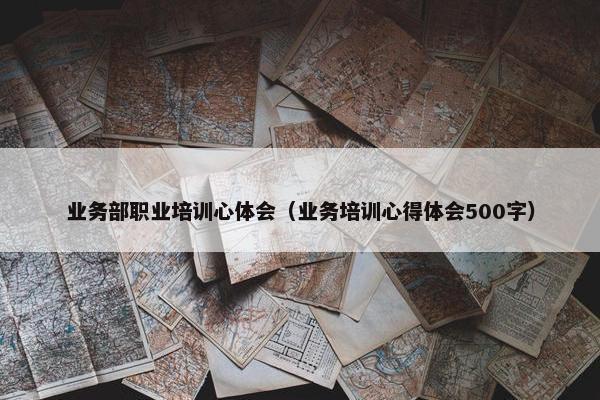 业务部职业培训心体会（业务培训心得体会500字）