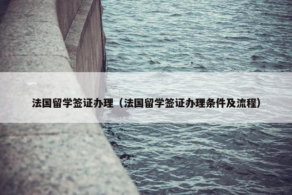 法国留学签证办理（法国留学签证办理条件及流程）