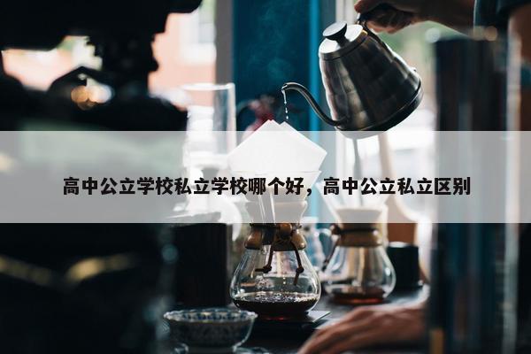 高中公立学校私立学校哪个好，高中公立私立区别