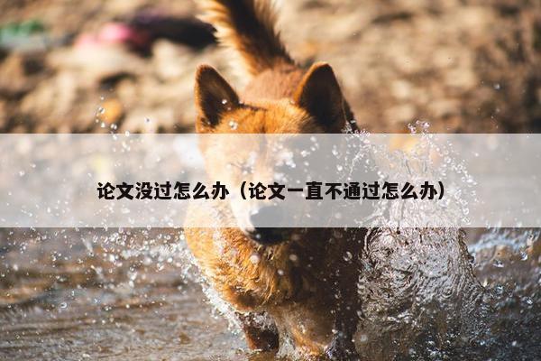 论文没过怎么办（论文一直不通过怎么办）