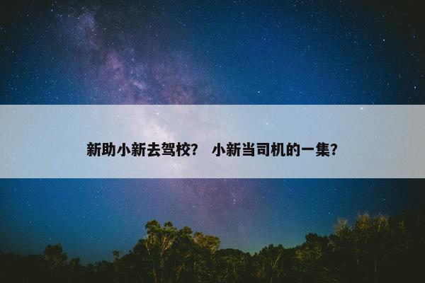 新助小新去驾校？ 小新当司机的一集？