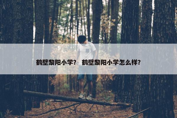 鹤壁黎阳小学？ 鹤壁黎阳小学怎么样？