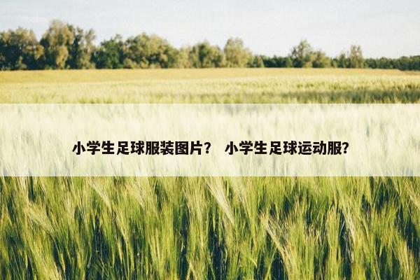 小学生足球服装图片？ 小学生足球运动服？