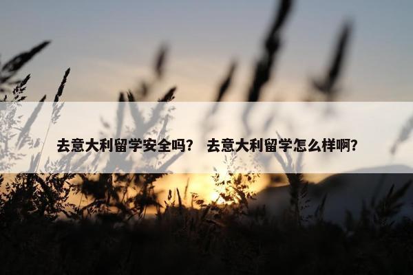 去意大利留学安全吗？ 去意大利留学怎么样啊？