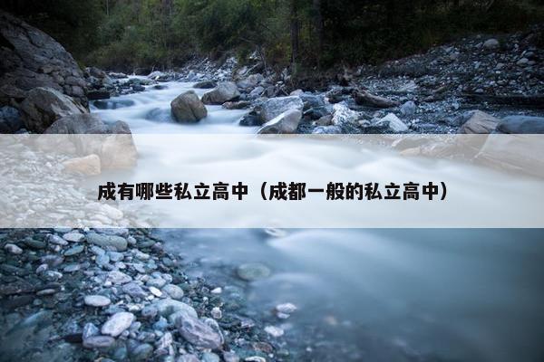成有哪些私立高中（成都一般的私立高中）