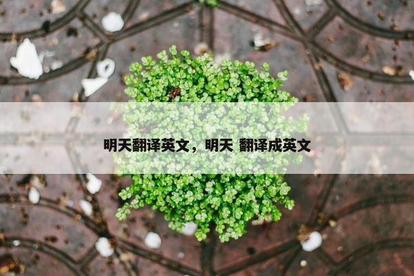 明天翻译英文，明天 翻译成英文
