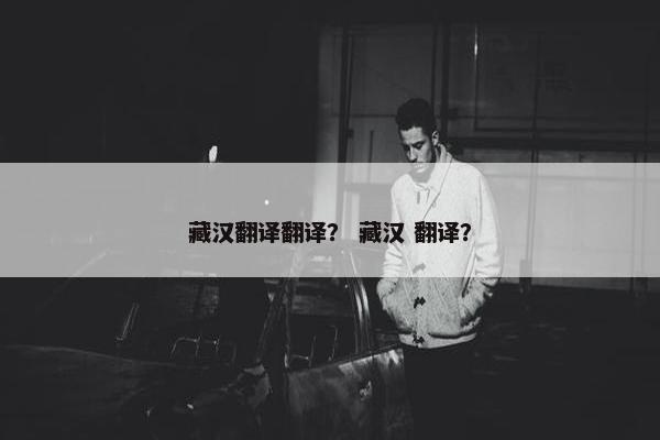 藏汉翻译翻译？ 藏汉 翻译？
