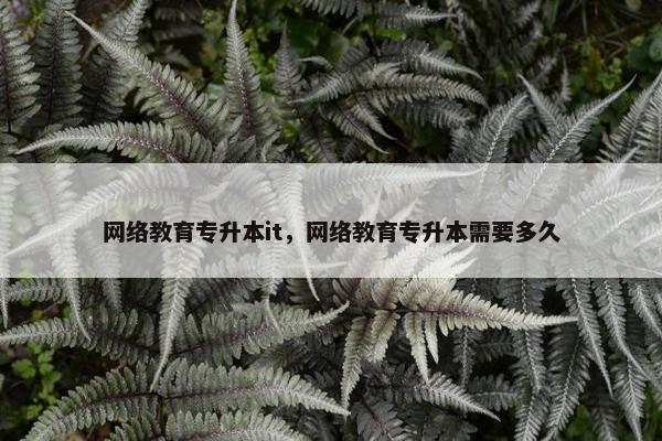 网络教育专升本it，网络教育专升本需要多久