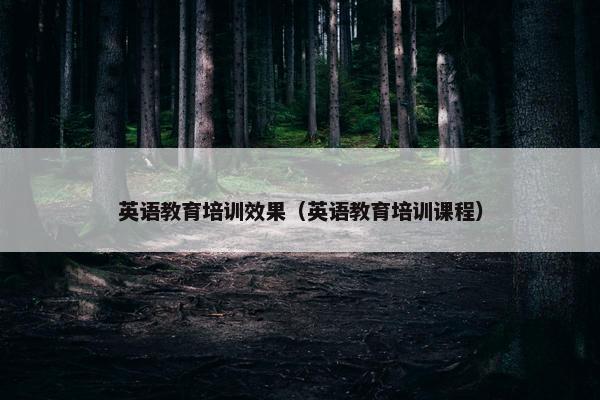 英语教育培训效果（英语教育培训课程）