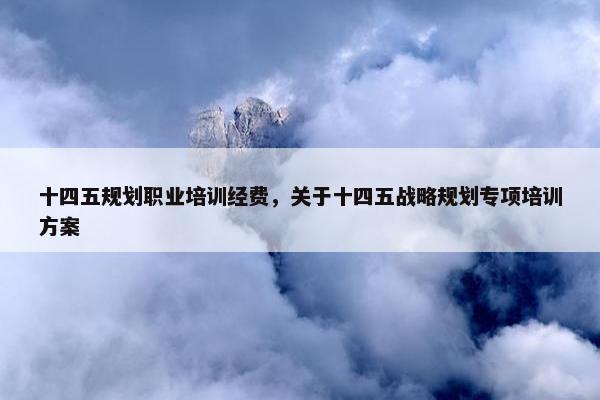 十四五规划职业培训经费，关于十四五战略规划专项培训方案