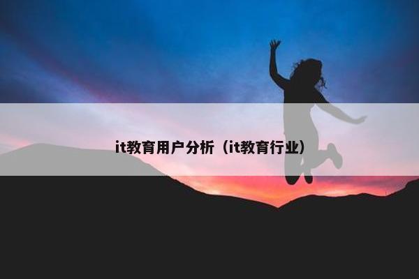 it教育用户分析（it教育行业）