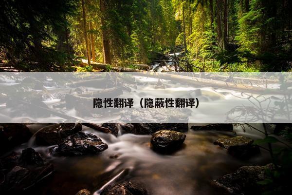 隐性翻译（隐蔽性翻译）