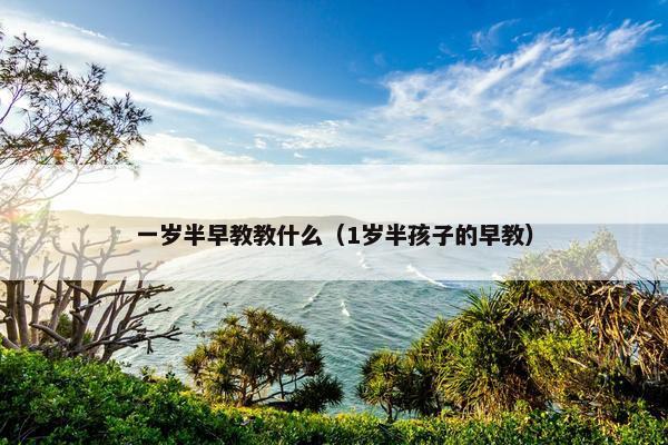 一岁半早教教什么（1岁半孩子的早教）