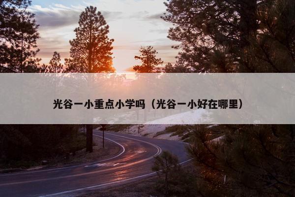 光谷一小重点小学吗（光谷一小好在哪里）